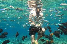 Private Snorkeling from Nusa Penida 