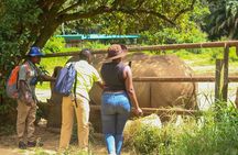 Explore Entebbe on Foot