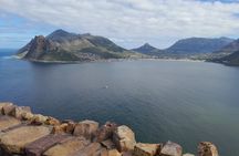 Robben Island, Penguins and Cape of Good Hope Private Tour 