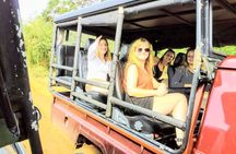 Yala Safari from Galle, Ahangama, Weligama, Mirissa 