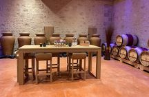 Visit of the Vineyards Saint Emilion and Medoc Day