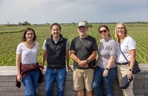 From Bordeaux Vineyard Tour in Saint Emilion Half Day