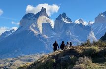 Full Day Private Torres del Paine