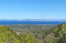 Private Tour Rhodes, Valley of the Butterflies & Local Winery