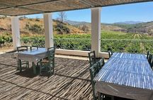 Private Tour Rhodes, Valley of the Butterflies & Local Winery