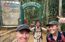 2 Days 1 Night Sumatra Orangutan Jungle Trekking