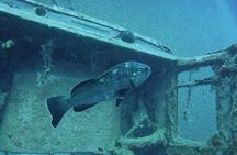 World-Class Zenobia Wreck Dive in Cyprus x 2 dives