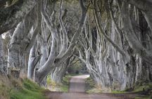 Private Day Trip from Dublin to Giant’s Causeway, Belfast & More