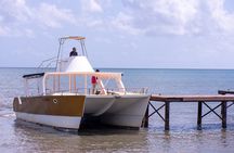 Bacardi Island Excursion with Catamaran Sail, Beach and Lunch