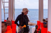 Bacardi Island Excursion with Catamaran, Beach and Lunch