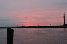 Chincoteague Wildlife Sunset Boat Tour