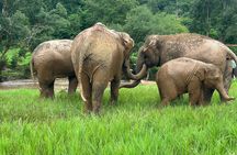 4 in 1 Elephants Long Neck Rafting and Sticky Waterfall Tour