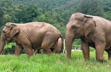 4 in 1 Elephants Long Neck Rafting and Sticky Waterfall Tour