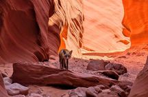 Antelope Canyon Kayak and Hike, Swim optional