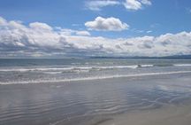 Dublin & Howth Private Tour – City Sights & Coastal Views