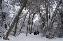 Tour of the Lake Escondido Experience Motorcycle and Snow and Flavors