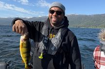Guided Jumbo Perch Fishing Trip on Lake Cascade
