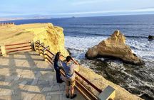 Paracas National Reserve Private Tour