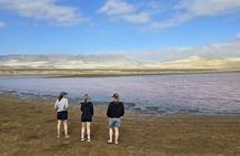 Paracas National Reserve Private Tour