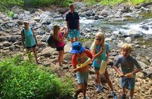 Explore Authentic Guadeloupe with a Local Multilingual Guide 