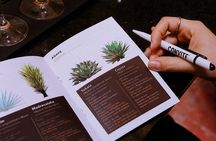 Tasting of Mezcal with the best selling brand in Oaxaca