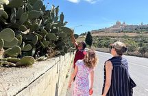 Private Tour Around Malta
