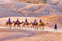 Marrakech Sunset Quad Bike in Agafay Desert+Camel Ride,Dinner, 