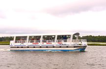 Hilton Head Boat Dolphin Tour Experience