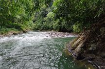 3 Day 2 Night Sumatra Orangutan Jungle Trekking