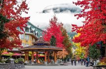 Whistler: Sea to Sky Gondola Shannon and Brandywine Falls Tour
