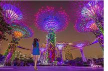 Singapore: River Cruise, 2 Spectra & Garden Rhapsody Light Shows