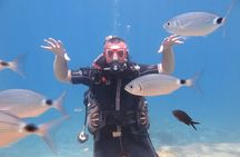 Fethiye Scuba Diving Trip with Mermaid Diving INCL Lunch-Transfer