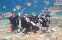 Fethiye Scuba Diving Trip with Mermaid Diving INCL Lunch-Transfer