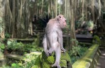 Best of Ubud Sightseeing Private All Inclusive Tour