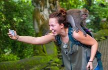 Ubud Private Tour: Monkey Forest, Waterfall & Rice Terrace Swing