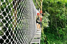 Chiang Mai 3 in 1 Zipline, Elephants and Sticky Waterfall