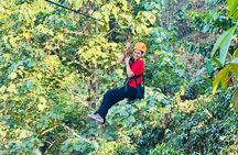 Chiang Mai 3 in 1 Zipline, Elephants and Sticky Waterfall
