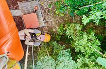 Chiang Mai 3 in 1 Zipline, Elephants and Sticky Waterfall