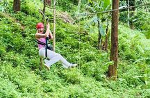 Chiang Mai 3 in 1 Zipline, Elephants and Sticky Waterfall