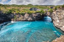 Nusa Penida One Day Private Tour 