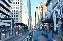 Best of Houston Sightseeing City Tour Small Group