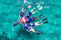 Snorkel Dive with Turtles