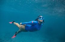 Snorkel Dive with Turtles