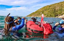 Snorkel Dive with Turtles