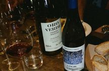 Wine Tasting with Local Bites in Pisa near the Tower