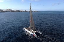 Whale watching and listening Eco-Catamaran Tour with Food Tasting