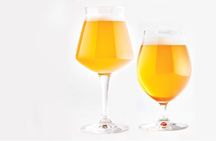 5 Hour trip-Guided Craft Beer Brewery tasting & Cypriot Food Trip