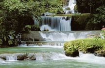 YS Falls and Black River Safari South Coast from Negril Jamaica