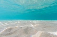 Zadar: 4-Islands Escape & Hidden Shipwreck with Lunch