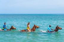 ATV, Zipline, Horseback Ride, Catamaran,Bamboo Rafting In Jamaica